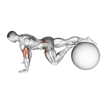 Exercise Ball One Leg Prone Lower Body Rotation