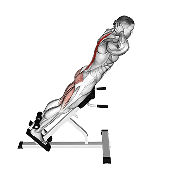 Hyperextension
