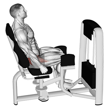 Lever Seated Hip Abduction