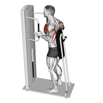 Lever Standing Chest Press