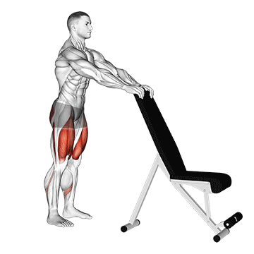 Potty Squat With Support