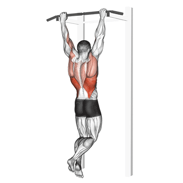 Rocky Pull-Up Pulldown