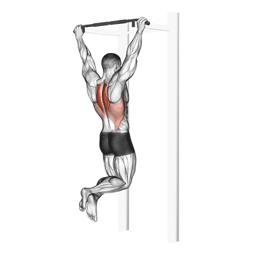 Scapular Pull-Up