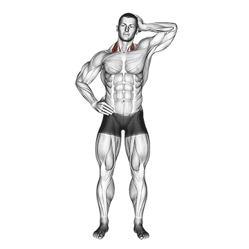 Side Push Neck Stretch