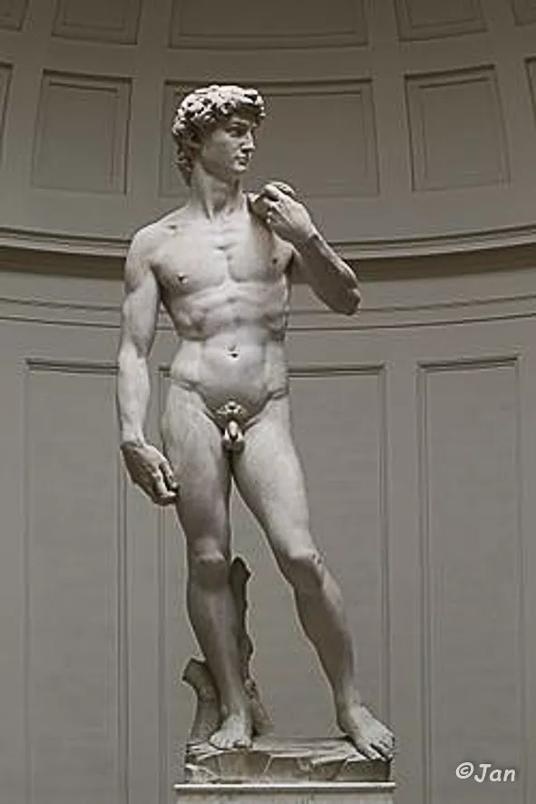 'David'_by_Michelangelo