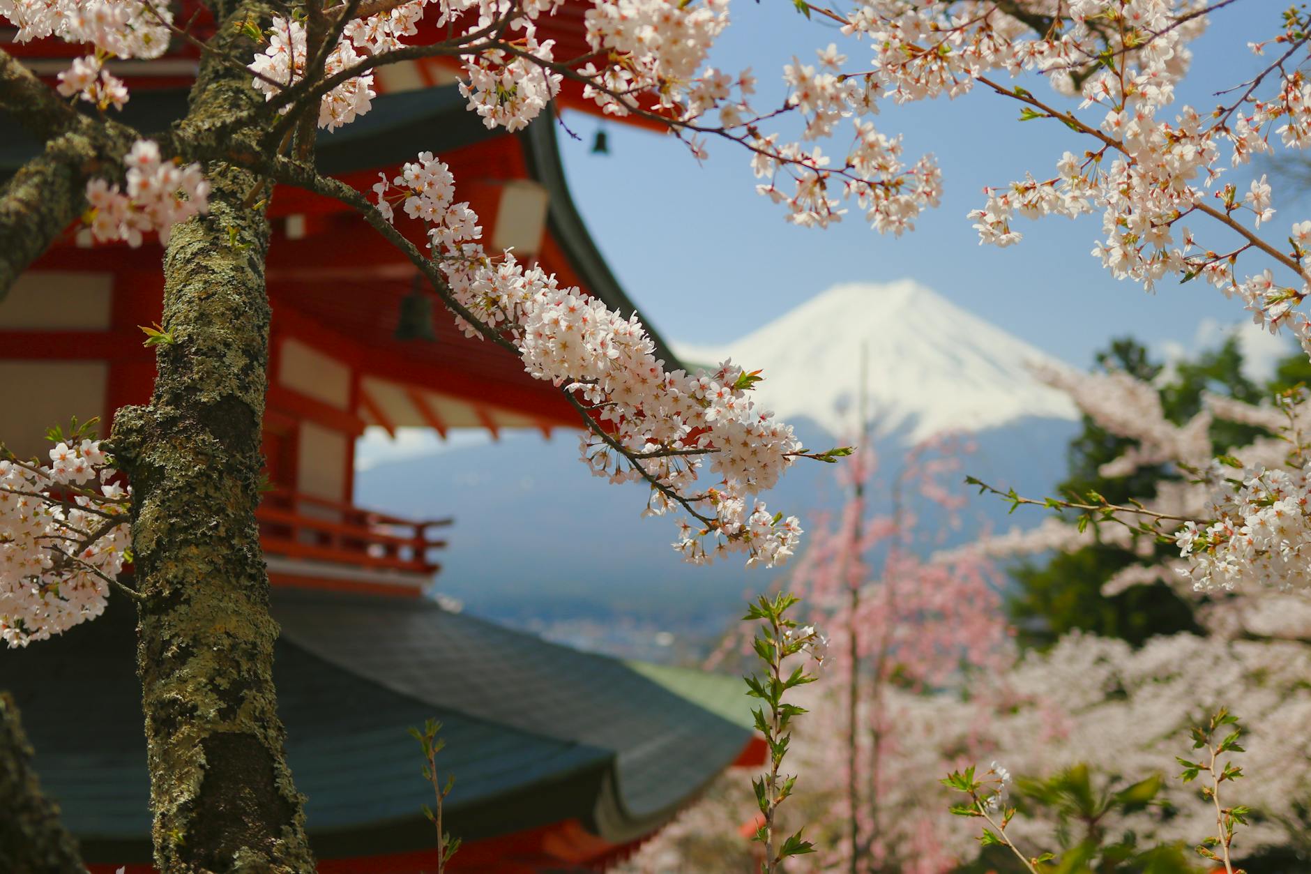 Japan – Tokyo & Kyoto - 6N / 7D tour package from Mumbai