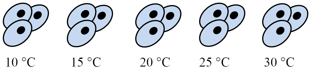 Temperature experiment