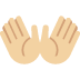 :open_hands_tone2: :open_hands_tone2: