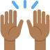 :raised_hands_tone4: :raised_hands_tone4: