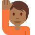 :person_raising_hand_tone4: :person_raising_hand_tone4: