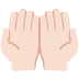 :palms_up_together_tone1: :palms_up_together_tone1:
