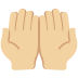 :palms_up_together_tone2: :palms_up_together_tone2: