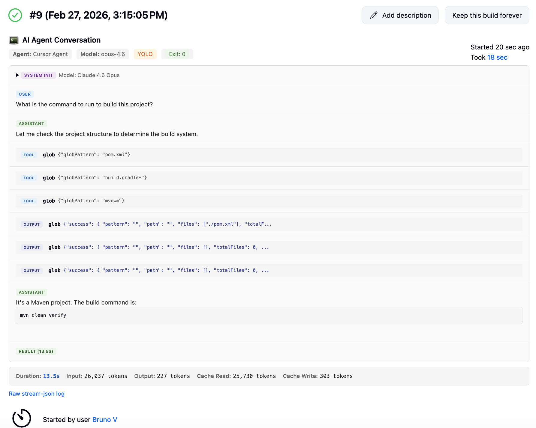 Build page with AI Agent conversation