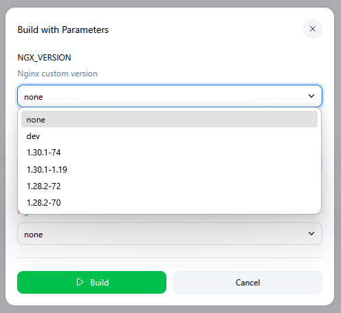 Build with Parameters dropdown of image tags