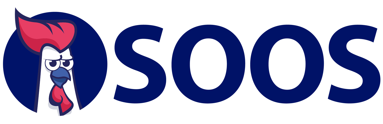 SOOS Icon