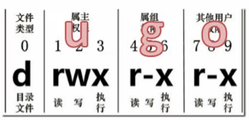 image-20220818154251444