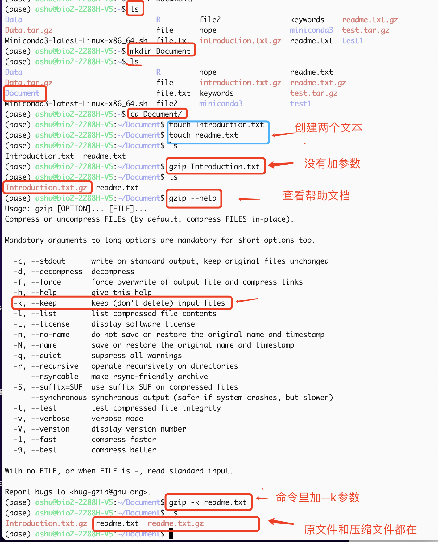 gzip压缩文件有无-k的区别
