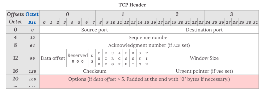 TCP 头部