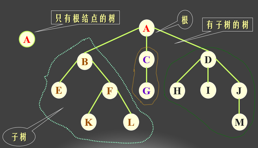 树的特点