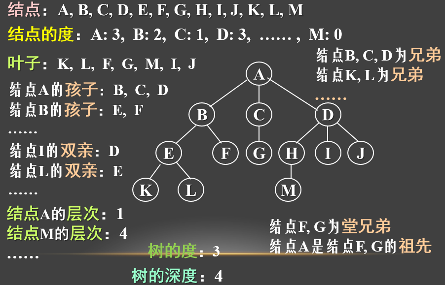 树的相关术语