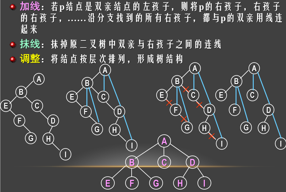 二叉树转换成树