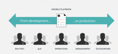 image-20201120112355253