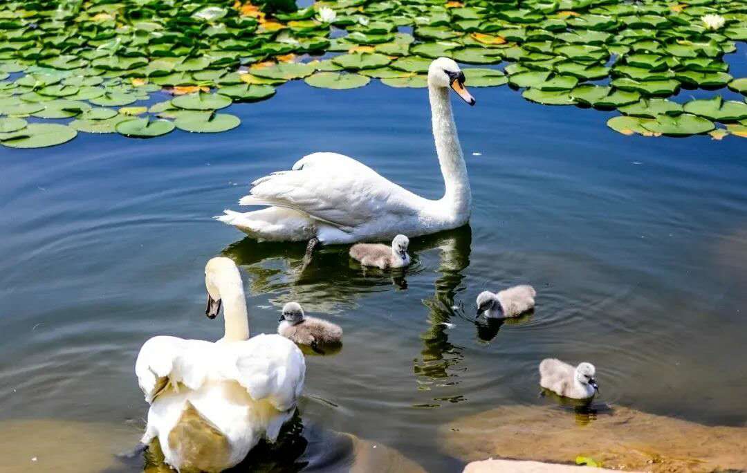 大学生活记录视频