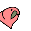 :parrots.spinning: