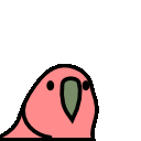 :parrots.stable: