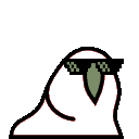 :parrots.transparent: