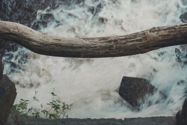 Côja, 2017