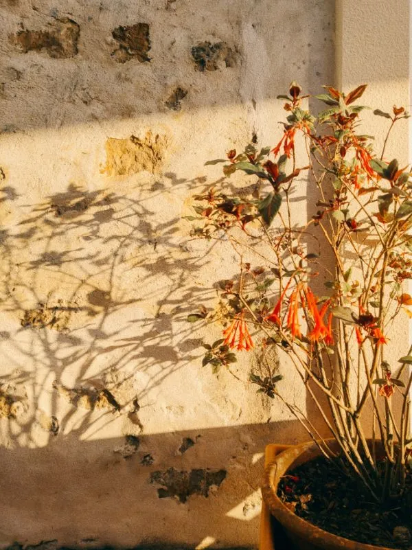 Casa da Nogueira