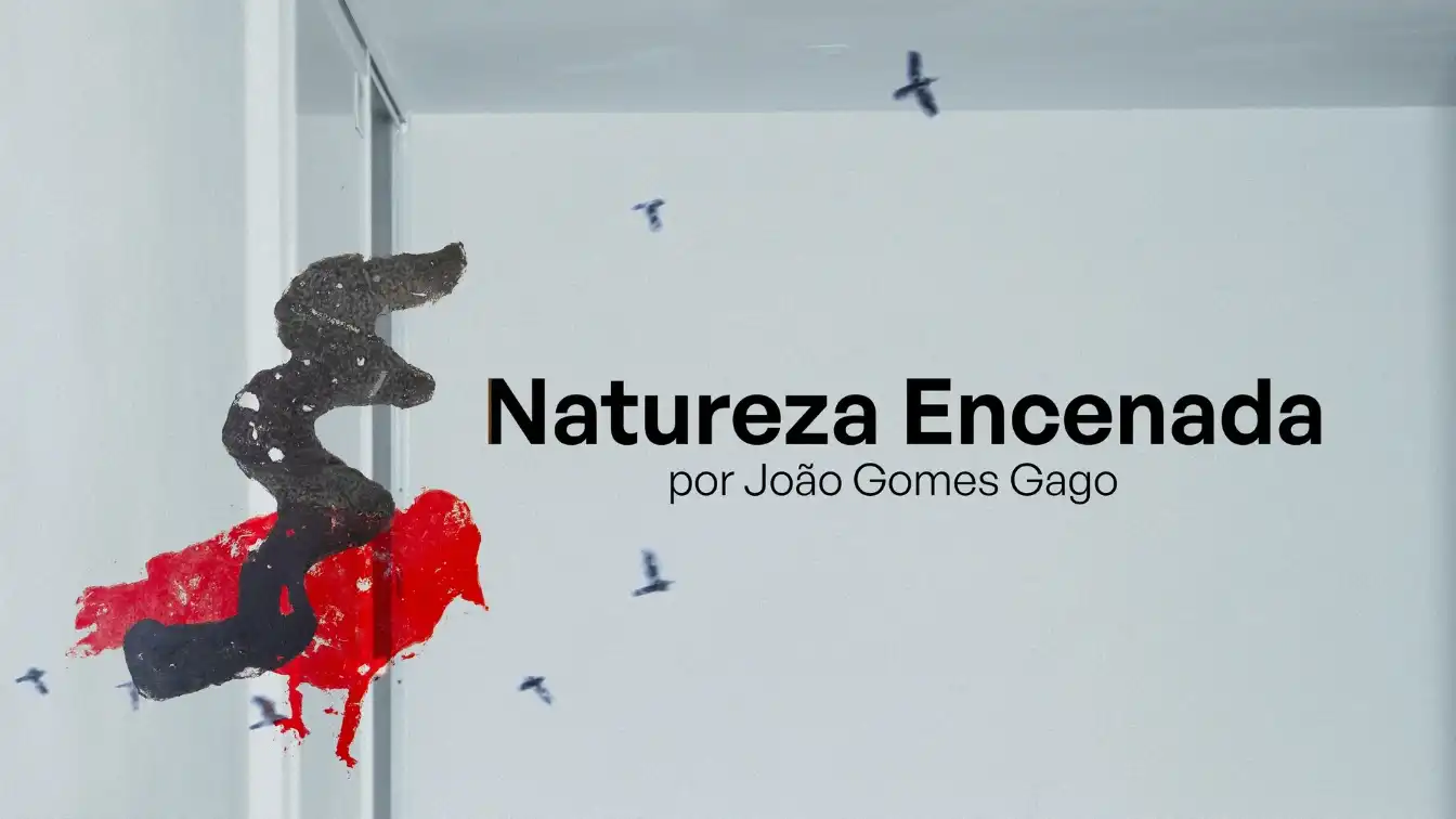 NATUREZA ENCENADA