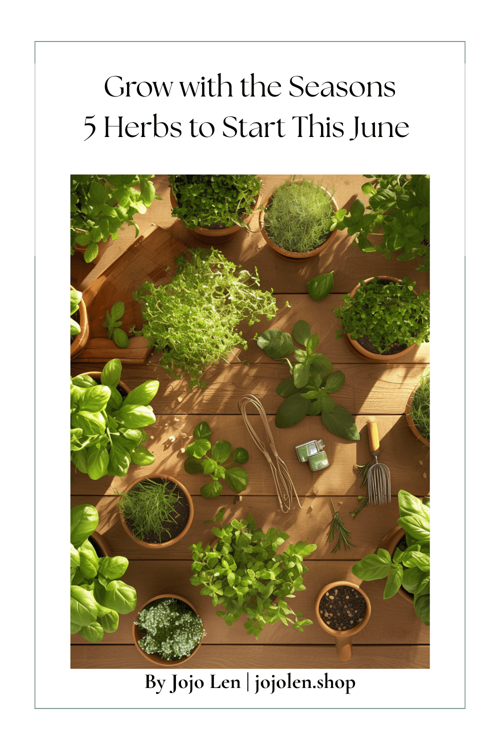 June Garden Awakening: 5 Herbs That Thrive in Early Summer