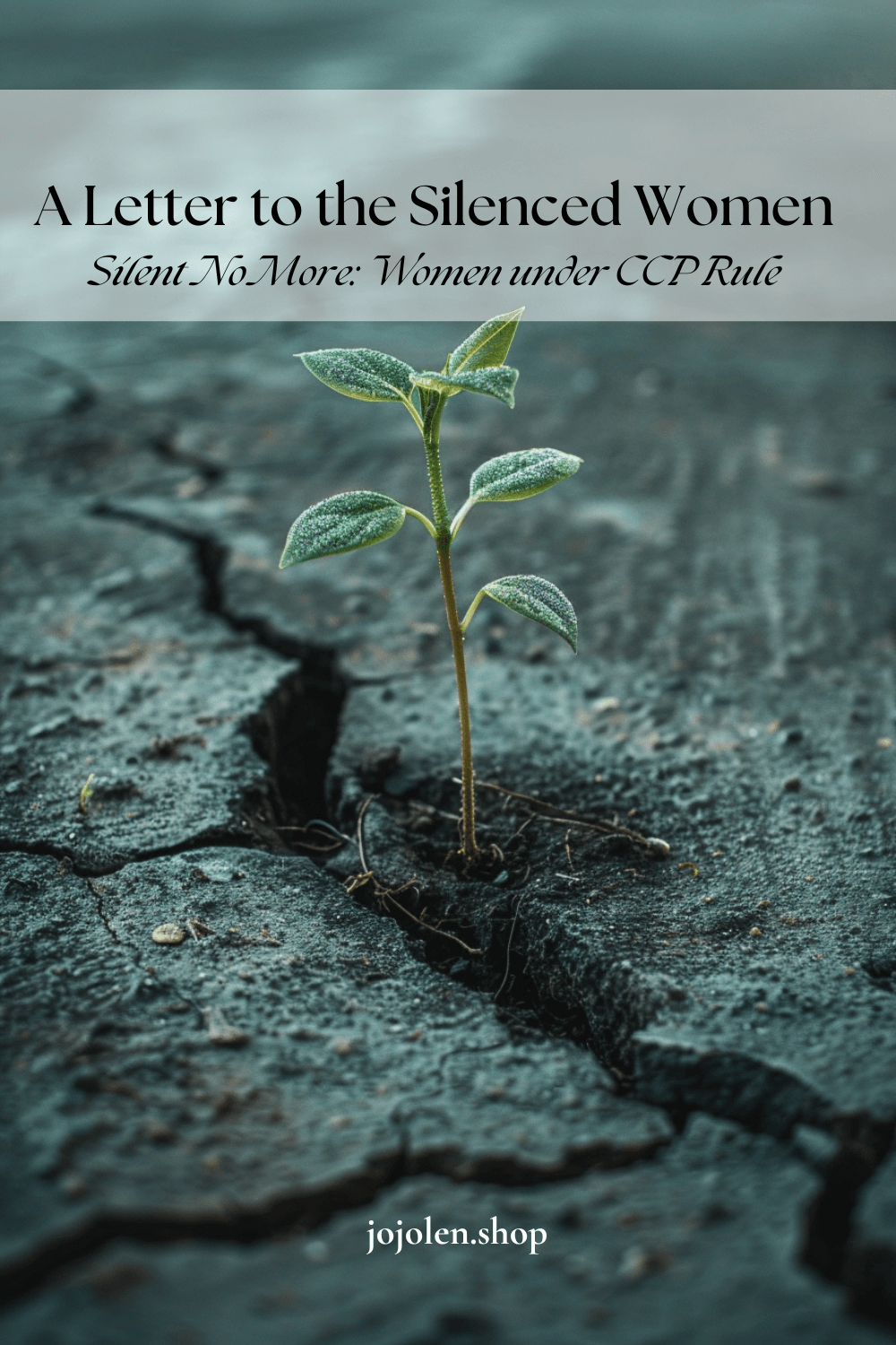 I Am Not Your Rose — A Letter from the Women You Tried to Forget