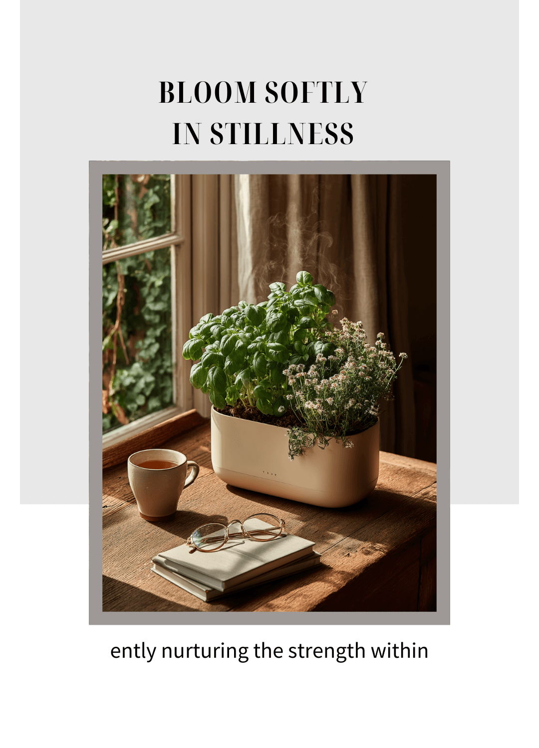 🌿 A Garden of One’s Own: Blooming in Stillness
