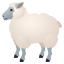 🐑