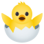 🐣