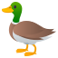 🦆