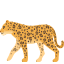 Эмодзи 🐆 JoyPixels