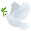 Эмодзи 🕊️ JoyPixels
