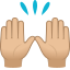 Эмодзи 🙌🏼 JoyPixels