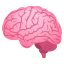 表情包：大脑/AI