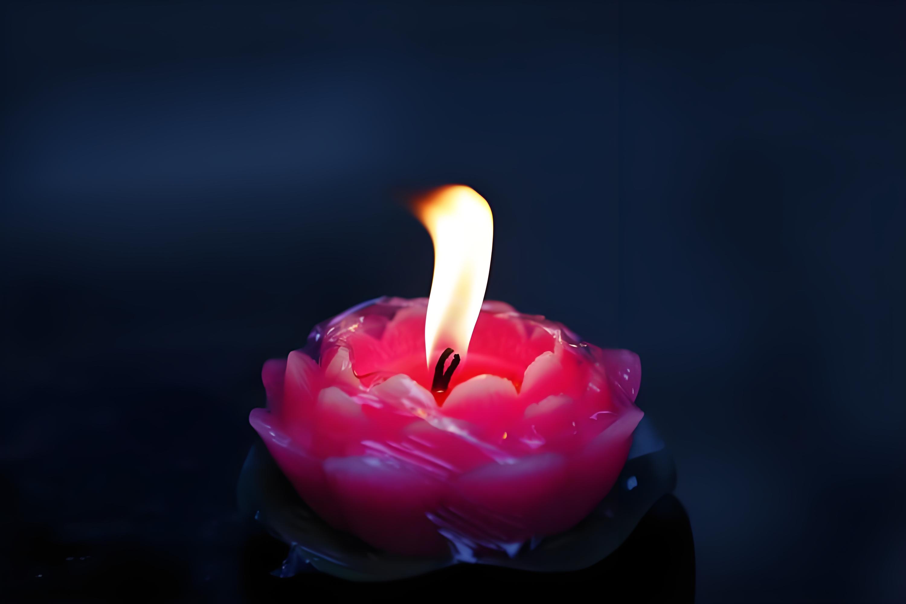 A Guide to the Bodhisattva's Way of Life