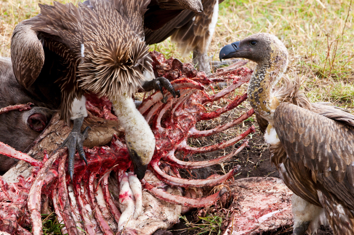 Sky Burial