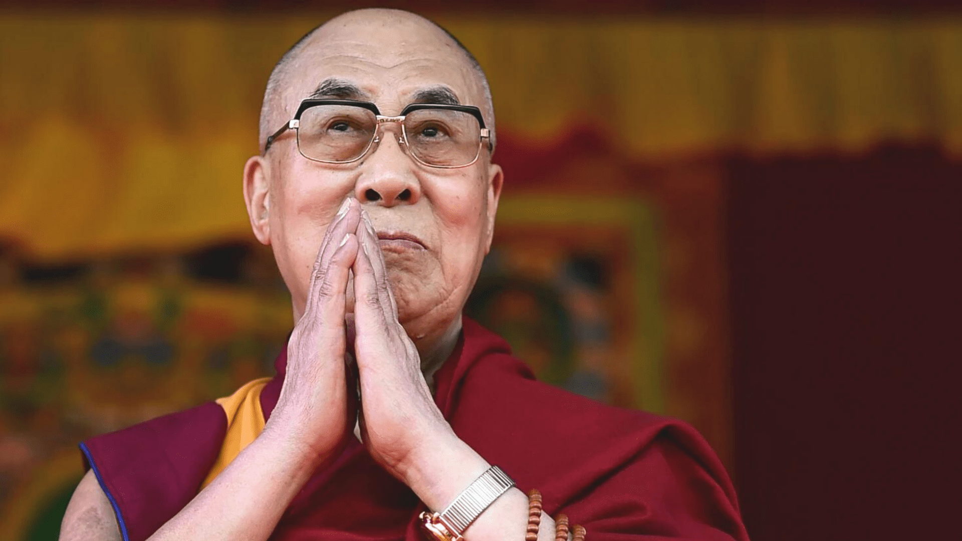 What Exactly is a Lama? A Comprehensive Definition & Guide
