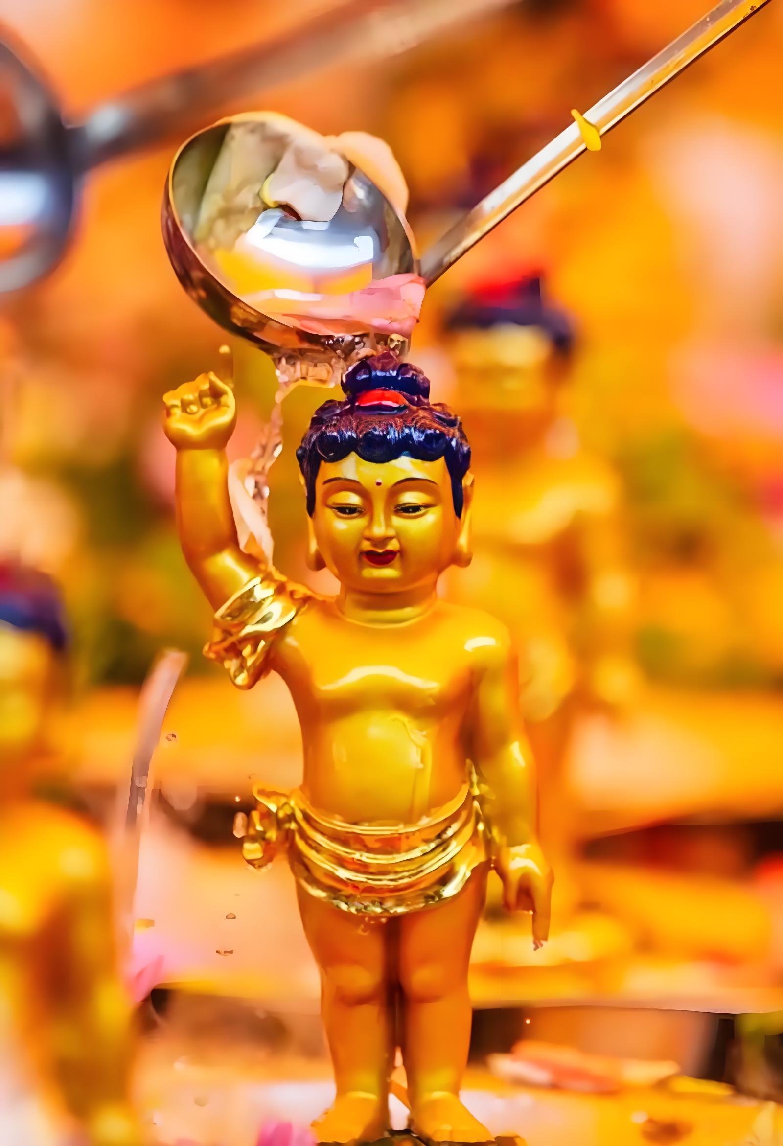 Explore the Vibrant World of Buddhist Festivals