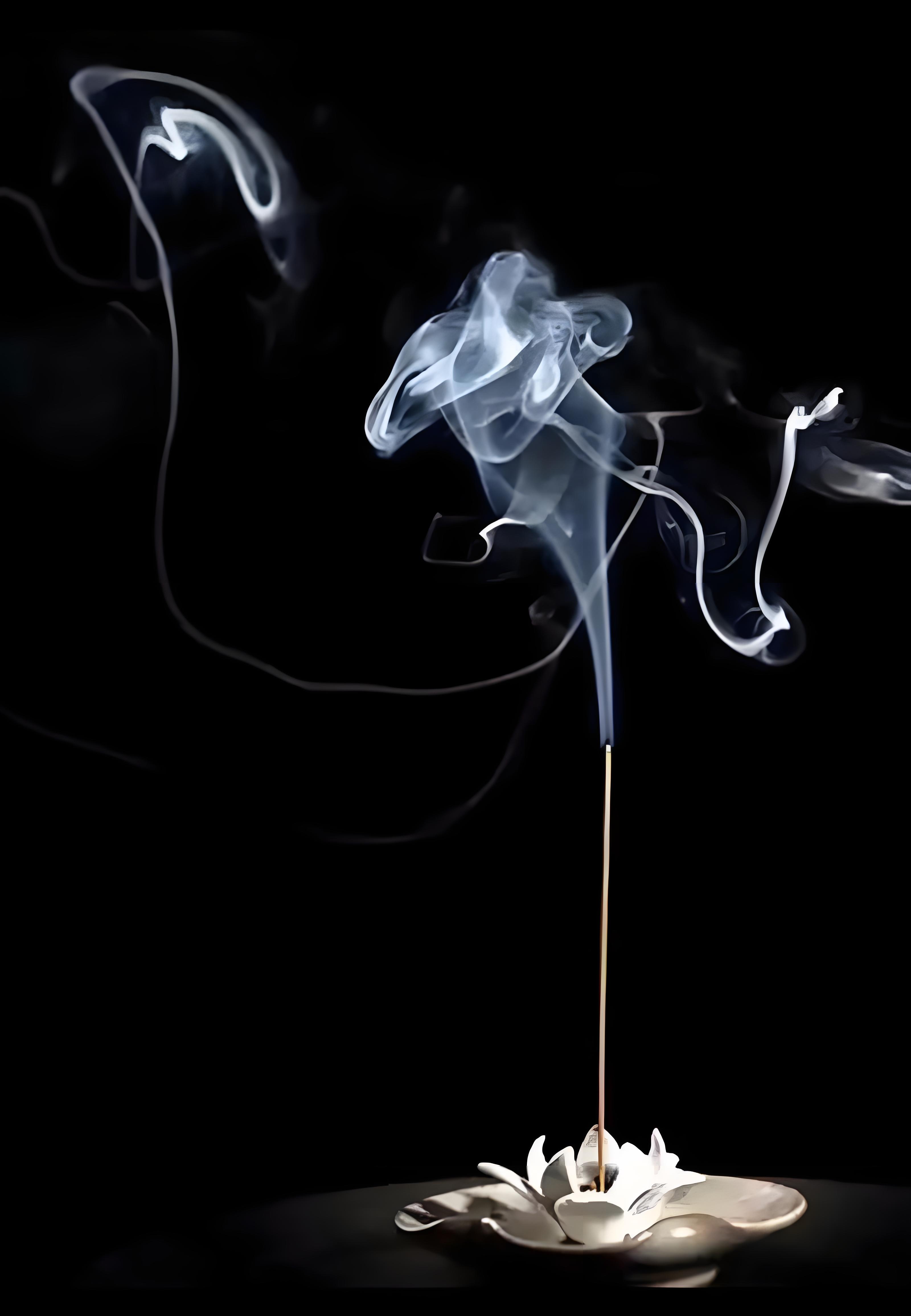 六波罗蜜 | 佛教波罗蜜 | 六度万行