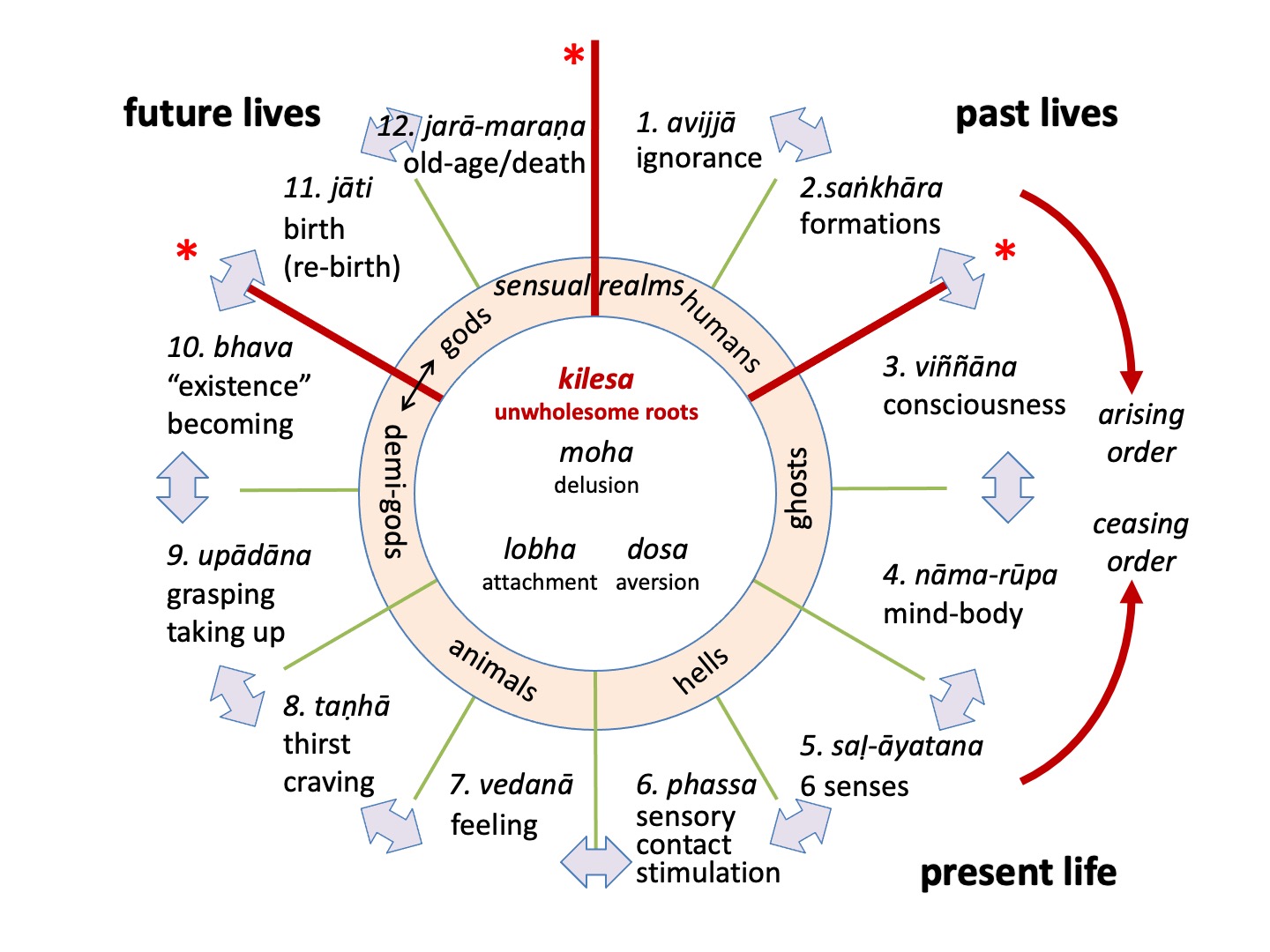 12 links of dependent origination