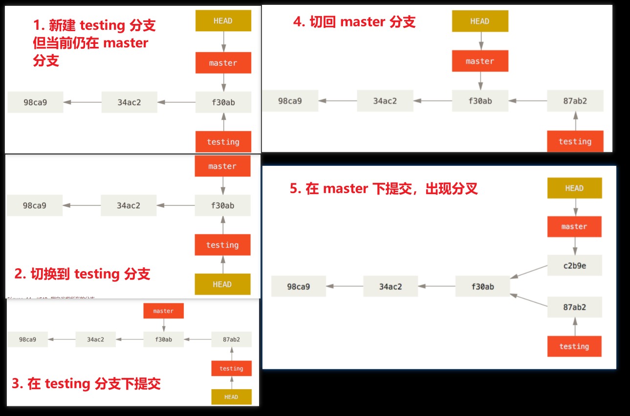 分支操作
